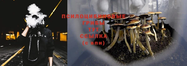 мдпв Заводоуковск