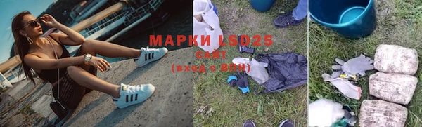 МДПВ Алзамай