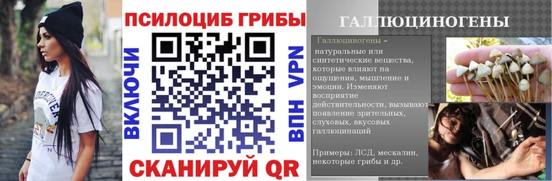 Псилоцибиновые грибы MAGIC MUSHROOMS  где купить наркоту  Лагань 